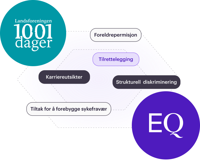 1001xEQBannerVisual